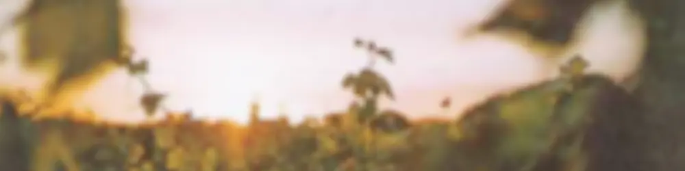 nyetimber　ナイティンバー